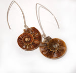 Sterling Silver Ammonite earrings